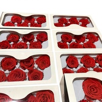 Kepala Bunga Mawar Kering Abadi 4-6cm Bunga Alami untuk Valentine DIY Ramah Lingkungan Tahan Lama 3-5 Tahun Bunga Awet