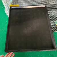 Cage à caille de 280 capacités de type H à 5 niveaux avec système d'alimentation automatique