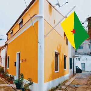 Drapeau de la Guyane Française 3x5 pieds en polyester avec deux œillets en laiton, simple couche, pour décoration intérieure et extérieure - Product Image 5