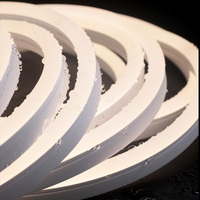 Profil lumineux flexible néon LED en silicone IP67 1414 pour utilisation intérieure/extérieure