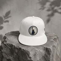 Casquettes Snapback Personnalisées Brodées à 6 Panneaux en Coton avec Écusson – Style Hip-Hop Unisexe pour Adultes – Chapeau de Baseball Streetwear d'Été – Vente en Gros