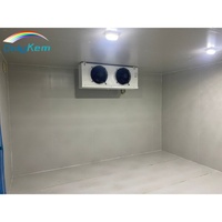 Chambre froide modulaire 4x3x3m pour la maturation des bananes, chambre froide de stockage de fruits à bas prix, chambre froide de plain-pied