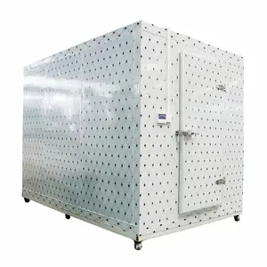 Solusi satu atap wadah seluler kompresor ruang dingin, penyimpanan ruang dingin insulasi untuk makanan ikan