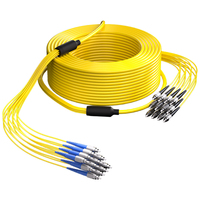 Customized 8 12 24 48 Fibers OS2 Single Mode LC SC FC LSH Indoor Tight Buffered Multi Fiber Breakout Cable CE ROHS CPR Cca B2ca