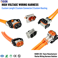 Harness Kabel Tegangan Tinggi Khusus Dengan Konektor HVSLS600 untuk Baterai EV, PDU, Inverter, Pengontrol Motor, Kendaraan Komersial