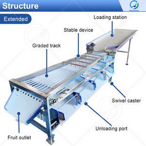 เครื่องคัดขนาดและคัดเกรดผลไม้และผัก โอเชียน สำหรับมะเขือเทศ กีวี กระเทียม พร้อมเครื่องเคลือบแว็กซ์และคัดเกรด ราคา - Product Image 2