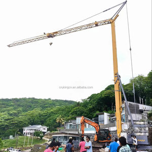 Grúa Torre Inteligente Autoerigible de 25 m y 2 Toneladas con Certificación CE y Emisiones Euro5 - Product Image 1