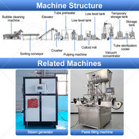 OCEAN Ketchupmachine, kleine tomatenpuree-installatie, tomatenpuree productielijn te koop
