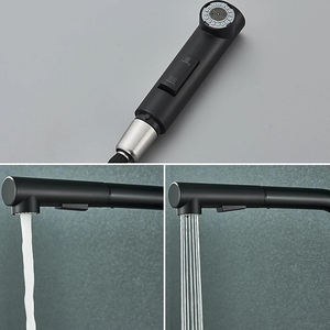 Grifo de Cocina Negro Extraíble, Moderno, de Acero, para Lavabo, Bañera, Ducha, Prelavado, Bidé, con Rociador Extraíble - Product Image 3