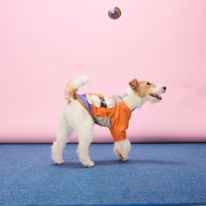 Chaqueta Impermeable y Transpirable <span class=keywords><strong>para</strong></span> Perro, Ligera, con Bolsillos y Cremallera Trasera, <span class=keywords><strong>para</strong></span> Perros Medianos y Grandes, como <span class=keywords><strong>Labrador</strong></span> - Product Image 3