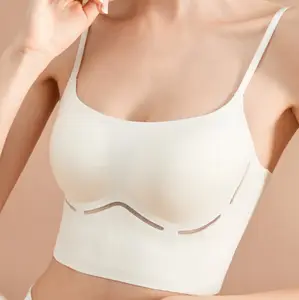 2023 Women's suspenders bra sexy underwear 3 colors fashionable versatile repair bras suspender Bikini bra