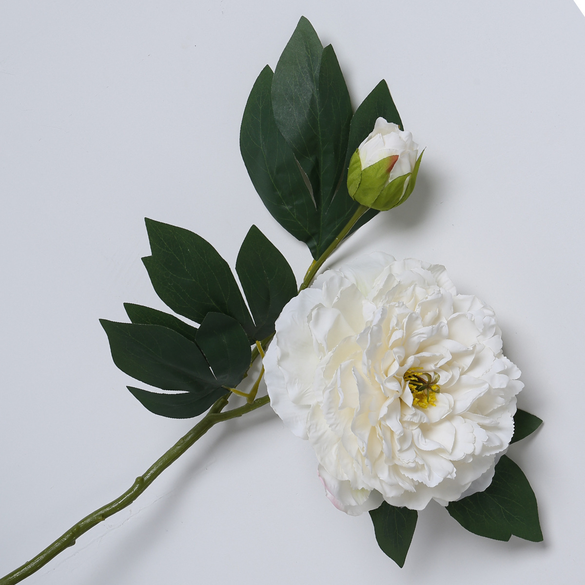 Pintura al óleo blanca de peonías con bordes chamuscados.