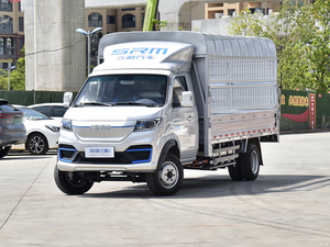 Hete Verkoop Goedkope Hek Trucks Xinyuan 4*2 Nieuwe Pure Elektrische Afrastering Truck Groene Planten, Meloenen, Fruit, Veeteelt - Product Image 6