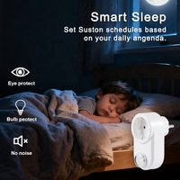 Bilihondim EU Smart Home Control Rotary Plug-in Dimmer avec Précision Sans Fil 1 Canal Démarrage Progressif et Fonctions Multiples