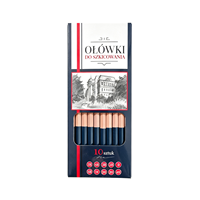 Ensemble de crayons à dessin en bois naturel FLOWood, 10 pièces, plusieurs grades 4H-5B, crayons à dessin en graphite résistants aux bris pour artistes