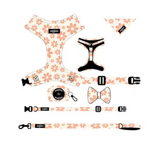조절 가능한 강아지 하네스 리드줄 세트, 칼라 보우, 강아지 훈련 세트, 작은 강아지 하네스 리드줄 세트 (요르키, 치와와, 포메라니안용) - Product Image 5