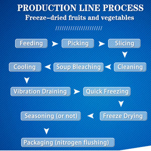 آلات 10-1000kgh آلة تجفيد lyophilization الصناعية - Product Image 2