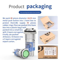 CE UL 22mm bouton-poussoir plastique, éclairé, double tête, indicateur marche/arrêt, momentané 10A
