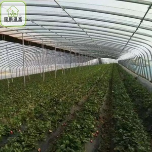Irrigação Estufa Sistema Crescente Agricultura Singlespan HighTunnel <span class=keywords><strong>Greenhouse</strong></span>