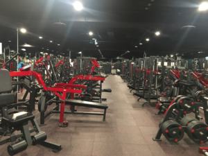 Placa de extensión inversa Hyper Back, máquinas de gimnasio cargadas, silla romana, Glute <span class=keywords><strong>JLC</strong></span>, equipo de Fitness, jamón, Glute, Banco de jamón, desarrollador - Product Image 6