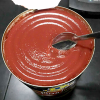 Harissa épicée Super chaude avec piment, poivre, ail, meilleure pâte de haute qualité fabriquée en italie pour l'habillage, les pâtes, la sauce à pizza