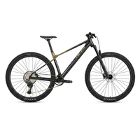 VTT TWITTER MTB en fibre de carbone pas cher, sans fil, 13 vitesses, pour homme, modèle M10, 29 ou 27,5 pouces, à vendre