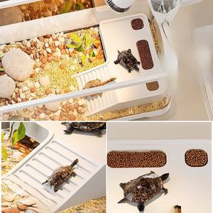 מיכל צב שקופה מקצועית עם מכסה פלסטיק מרובע קטן מדגי צב שולחן עבודה קטן מרפסת הבית או סלון - Product Image 2