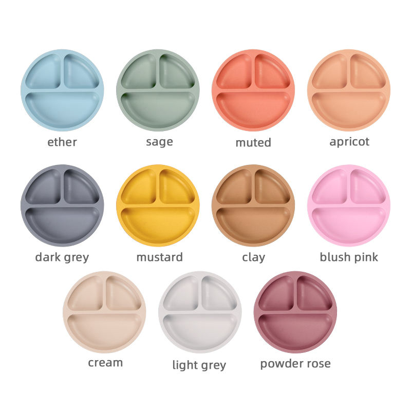 จานดูดแบ่งช่อง