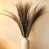 Plumes de faisan de haute qualité pour accessoires de spectacle théâtral, coiffes de défilé, accessoires de cosplay d'Halloween, fabrication d'attrape-rêves