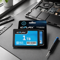 ICOOLAX SSD Internal Berkinerja Tinggi 128GB 256GB 512GB 1TB 2TB SATA III 2.5 Inch Solid State Drive