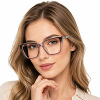 TYSD-LS250 Gafas de Sol Cat Eye TR+Metal Populares en Stock, Monturas Ópticas para Mujer, Aptas para Todo Tipo de Rostro, con Inserto