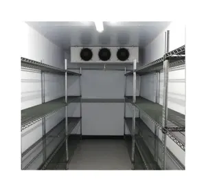 Frozen cold room for meat and fish from China