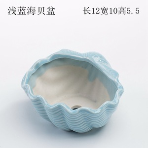 <span class=keywords><strong>Vaso</strong></span> da tavolo con <span class=keywords><strong>conchiglia</strong></span> di balena a tema oceano piccolo succulento <span class=keywords><strong>vaso</strong></span> di fiori simpatico cartone animato con glassa Art Deco Design per piante grasse - Product Image 4