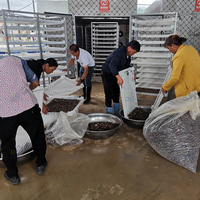 Séchoir alimentaire automatique à pompe à chaleur pour épices, champignons de la mer et champignons dorés
