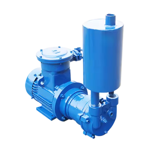 Vacuum <strong>Pump</strong> 2BV <strong>Water</strong> Ring Vacuum Direct Connection 7.5kw 11kw 15kw Horizontal <strong>Water</strong> Circulation Vacuum <strong>Pumps</strong> - Product Image 5