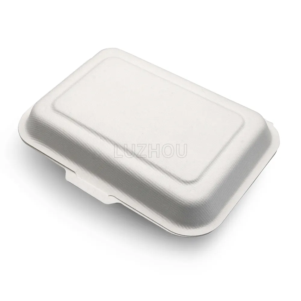 LuzhouPack 600ml fett dichte Bagasse Biologisch abbaubarer Sandwich-Togo-Behälter zum Mitnehmen Lebensmittel verpackungs papier Bento-Brotdose