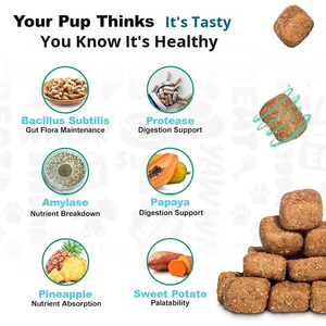 Nieuwe Aanwinst Lekkere Puppy Probiotica Zachte Granulaatjes Kalmerende Spijsverteringsondersteuning Immuunsysteemversterking Hoog Eiwitgehalte voor Jonge Puppy's OEM - Product Image 5