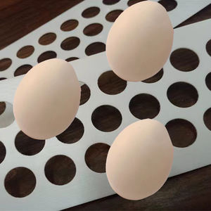 Boerderij Pluimveehouderij Eieropvangriem Eiertransportband - Product Image 2