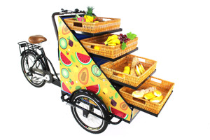 RL-T03A tricicli elettrici <span class=keywords><strong>bicicletta</strong></span> <span class=keywords><strong>3</strong></span> <span class=keywords><strong>ruote</strong></span> adulto frutta risciò Vending Bike triciclo elettrico - Product Image 5