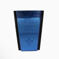 Trophée en acrylique personnalisé APEX, plaque avec logo personnalisé, récompenses pour la reconnaissance des employés, reconnaissance d'entreprise