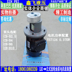 Unité de pompe à huile à engrenages à piston vertical et à palettes de type LBZ utilisée YS7134 0,55KW et YS7124 0,37KW - Product Image 1