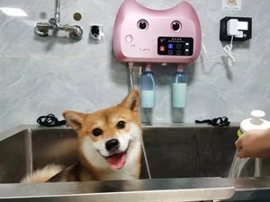 Machine à bulles <span class=keywords><strong>LIZE</strong></span> PET SPA en plastique et caoutchouc pour shampoing et bain pour chiens, pour usage en salle de bain, en polyester, article en stock - Product Image 4