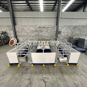 Hot Galvanized Pig Farrowing Pen 2.4m*1.8m Sow Birthing <b>Crate</b> with Cast Iron and <b>Plastic</b> Floors - Product Image 1