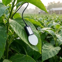 Capteur d'humidité des feuilles agricoles RK300-04, étanche IP65, sortie SDI-12 RS485 pour l'alerte précoce des maladies et parasites des cultures