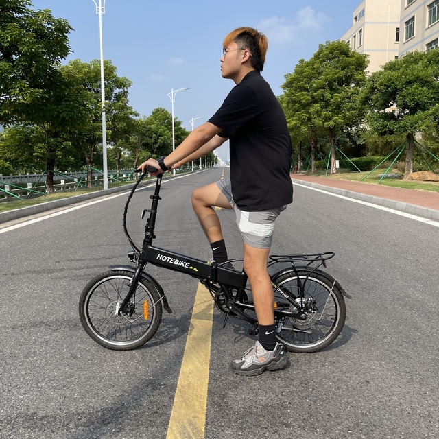 250w 350w Removable Battery Ebike Adult E Bike Folding E-bike 20 Inch Electric City Bicycle