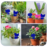 Pièges à moucherons de forme irrégulière personnalisables, lutte antiparasitaire écologique non toxique pour plantes d'intérieur et d'extérieur