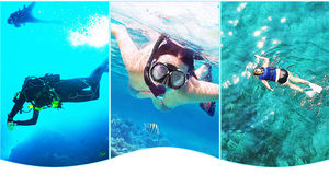 Cinturón de Lastre Reutilizable Sinodiving para Buceo, Desmontable, de Acero Inoxidable y Silicona, Equipo de Buceo - Product Image 4