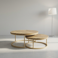 Table basse 2-en-1 pour la maison, 20*20*1.0, en tube de fer thermolaqué, MDF stratifié 40mm avec décalcomanie, mobilier de salon