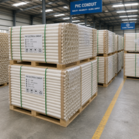 Tuyau électrique en PVC blanc de qualité industrielle pour le routage de câbles et les solutions de câblage d'infrastructure, norme DIN