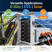 Vente Flash Connecteur Parallèle IP67 M29 2+8 80A Prise/Connecteur Câble Personnalisé pour Échange de Batterie de Moto Électrique
